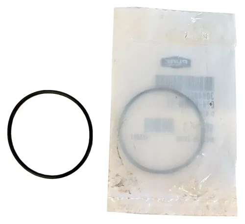 O-Ring Lot of 2 OEM for Polaris 1999 00 01 02 Worker 500 2000-02 Xpedition 425