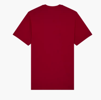 IMAGE SKULL SS PREM TEE [CRDNL]