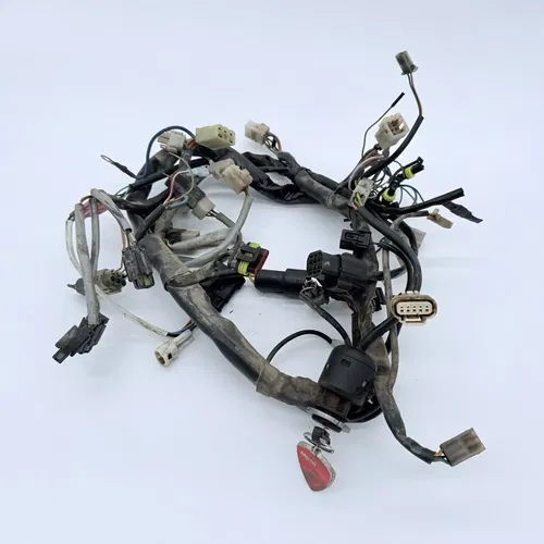 2008 - 2009 Husqvarna TE250 / TE 250 OEM Electrical Loom Wiring Harness