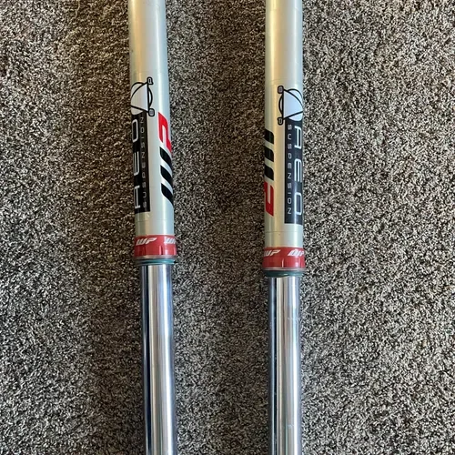 AEO WP Cone Valve Forks