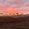 Bozracer 