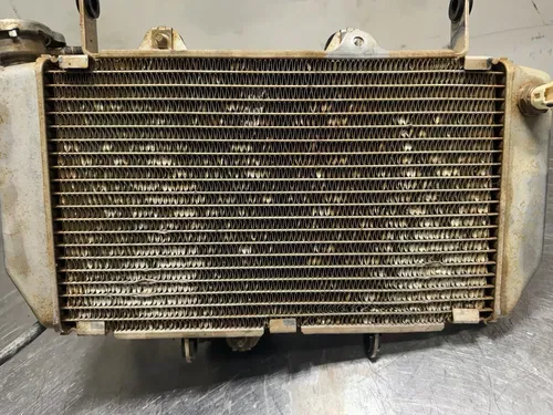 2015-2020 Yamaha YFZ450R YFZ450 R Engine Cooling Radiator Guard 1TD-E2460-01-00