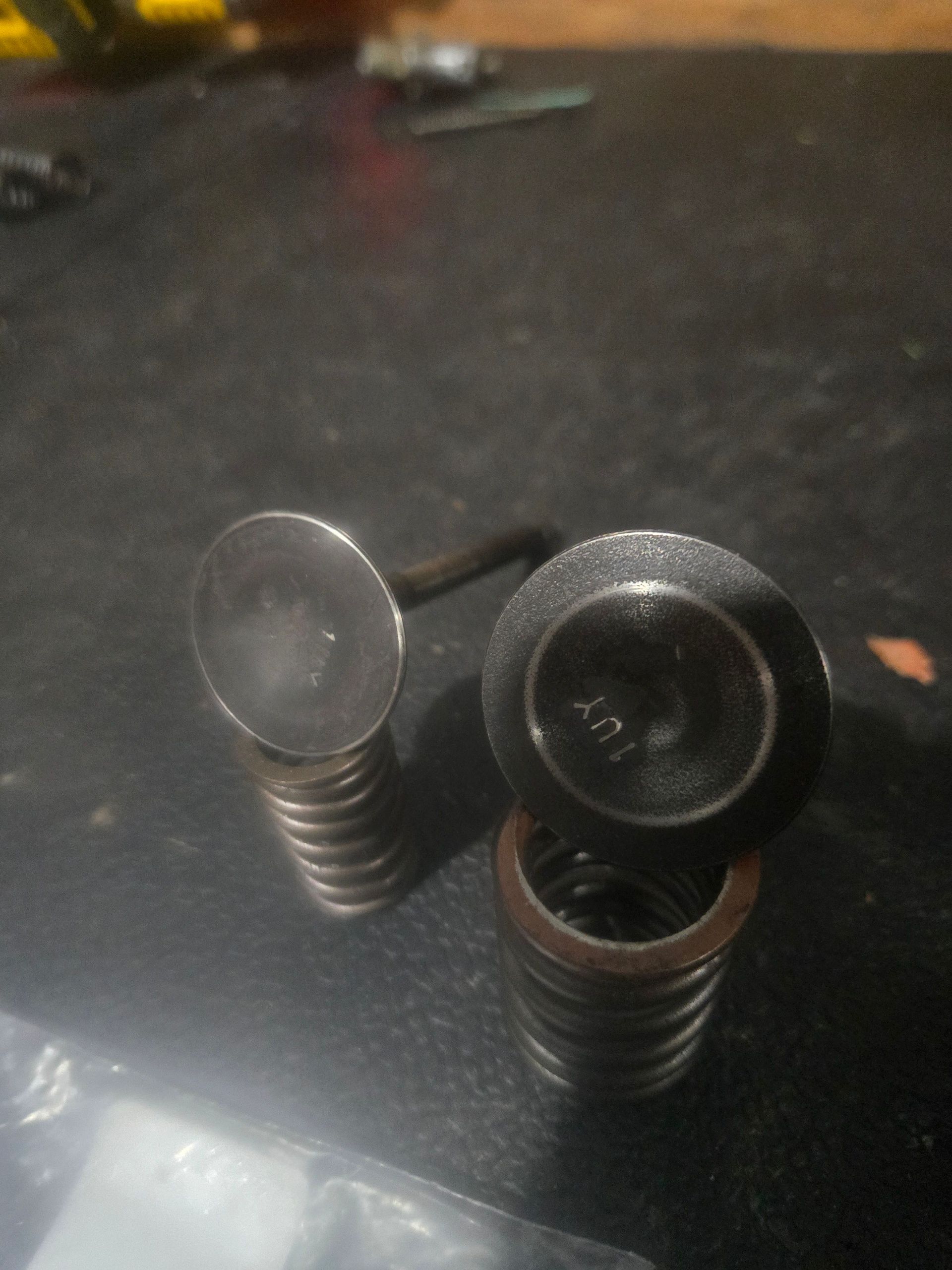 OEM Intake and Exhaust Valves Raptor 350