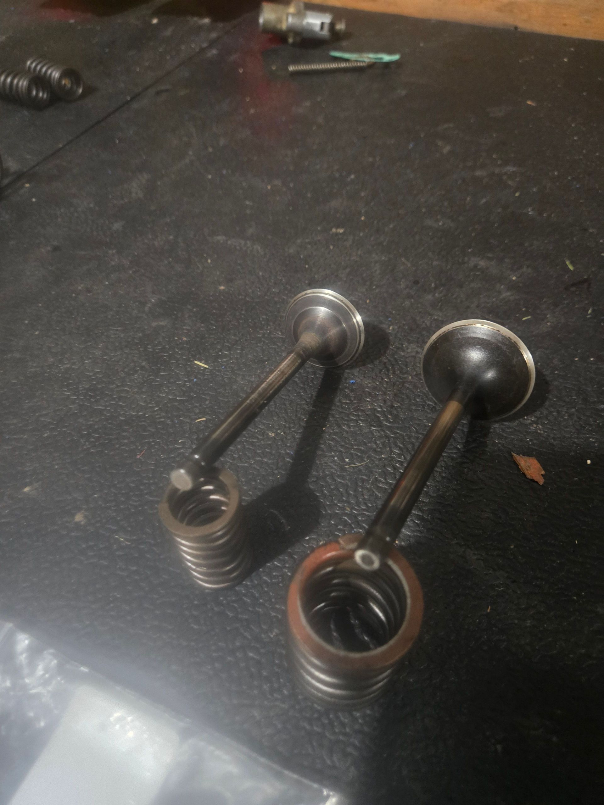 OEM Intake and Exhaust Valves Raptor 350