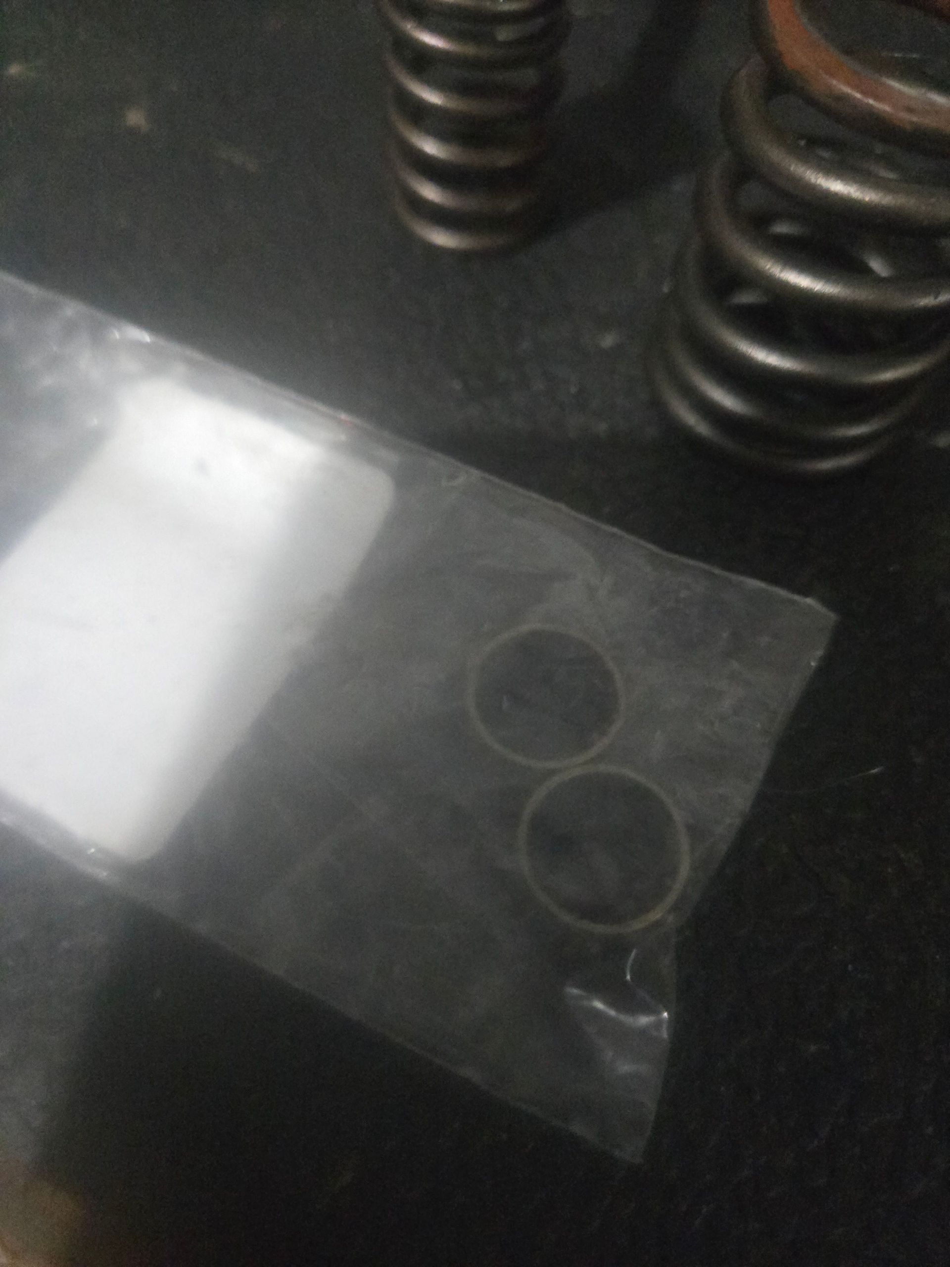 OEM Intake and Exhaust Valves Raptor 350