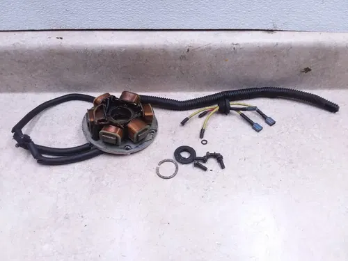 Ducati 250 Scrambler SCR Engine Generator Stator 1966 1967 VTG ANX-C18