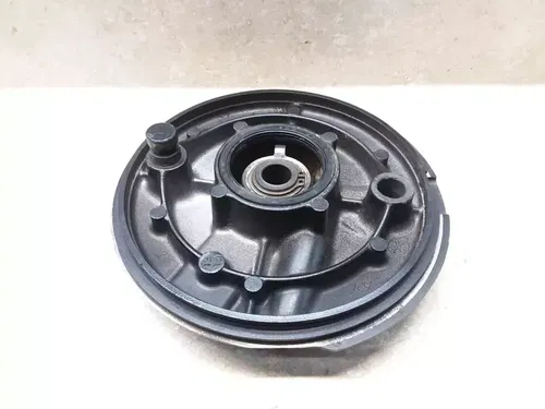 VTG 1982 Yamaha XT550 XT 550 Front Wheel Brake Plate PJ-16