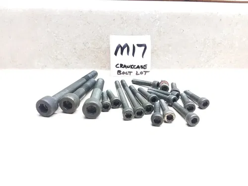1996 Yamaha Virago XV 1100 XV1100 Engine Case Mount Bolts ANX-A53 #M17