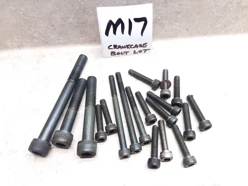 1996 Yamaha Virago XV 1100 XV1100 Engine Case Mount Bolts ANX-A53 #M17