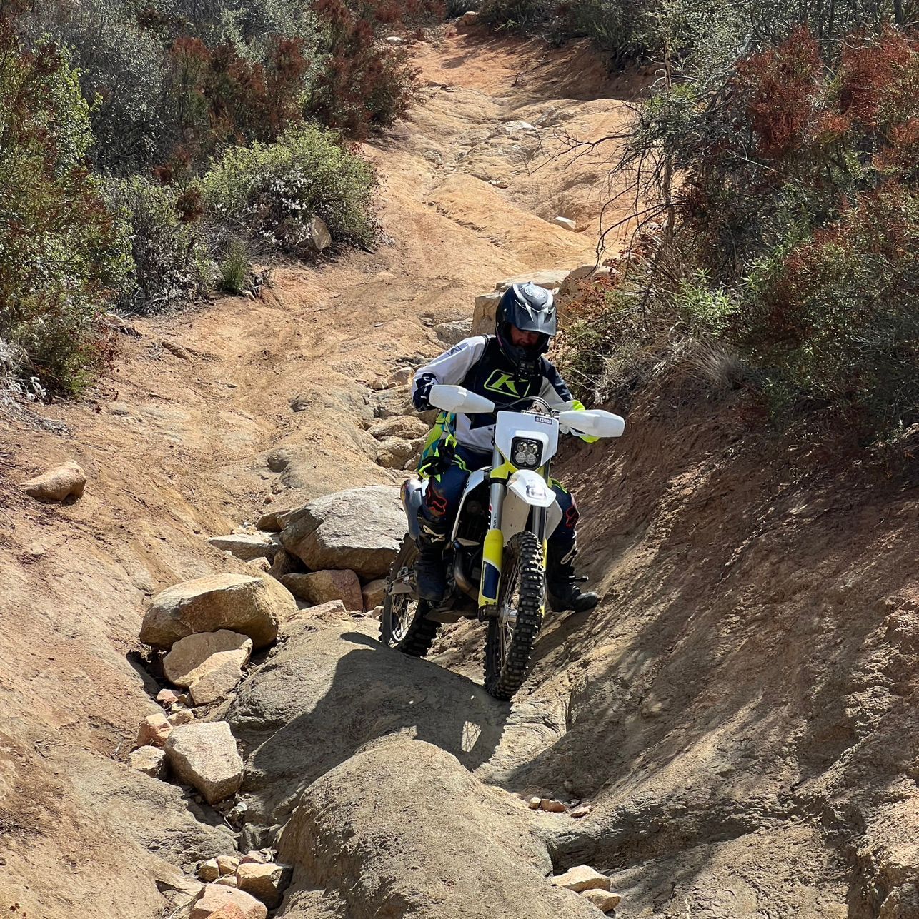 endurofish