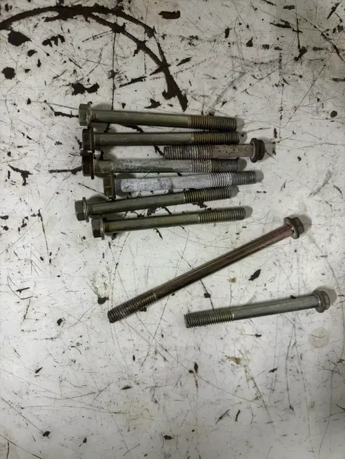 2005 Polaris Trail Boss 330 2x4 Engine Case Bolts Bolt Set 03-07