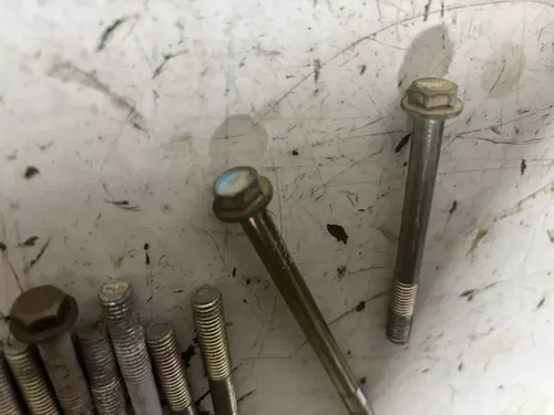2005 Polaris Trail Boss 330 2x4 Engine Case Bolts Bolt Set 03-07