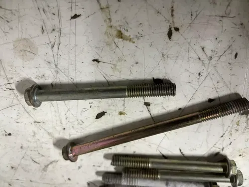 2005 Polaris Trail Boss 330 2x4 Engine Case Bolts Bolt Set 03-07