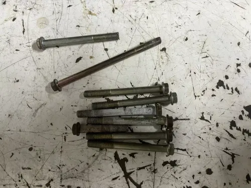 2005 Polaris Trail Boss 330 2x4 Engine Case Bolts Bolt Set 03-07