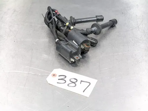 2004-2009 Yamaha FZ6 FZ-6 Fazer Ignition Coil Set Complete w/ Wire & Caps
