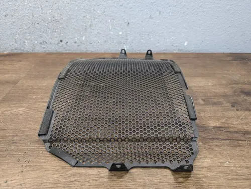 17-24 Yamaha FZ10 MT10 FZ-10 MT-10 Evotech Radiator Guard - PRN013231-03