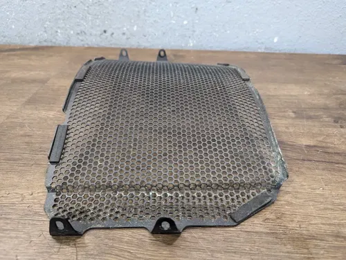 17-24 Yamaha FZ10 MT10 FZ-10 MT-10 Evotech Radiator Guard - PRN013231-03
