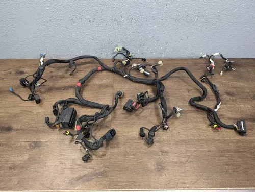 2021 DUCATI PANIGALE V2 955 OEM MAIN HARNESS WIRING WIRES ELECTRICAL NO CUTS