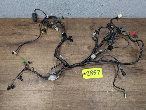2008-2012 Kawasaki Ninja 250 EX250 OEM Main Engine Wiring Harness Motor Wire