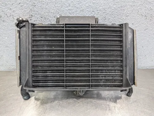 2004-2009 Yamaha FZ6 FZ6R FZ6RS OEM Radiator Fan Cooling System Assembly