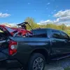 nopulse19