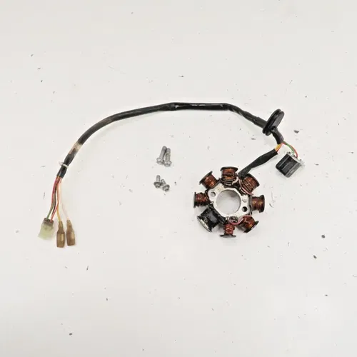 KTM 300XC - Stock Electrical Stator Magneto Coil - 2008 300 XC OEM