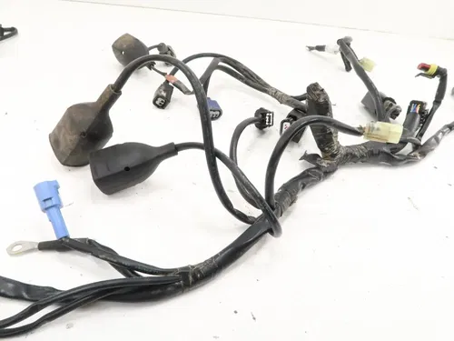 KTM 250SX-F - Stock Electrical Wiring Harness Loom Plugs - 2016 250 SXF OEM