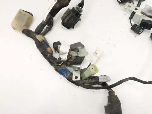 Suzuki RMZ450 - Stock Electrical Wiring Harness Loom - 2019 RM-Z 450 OEM