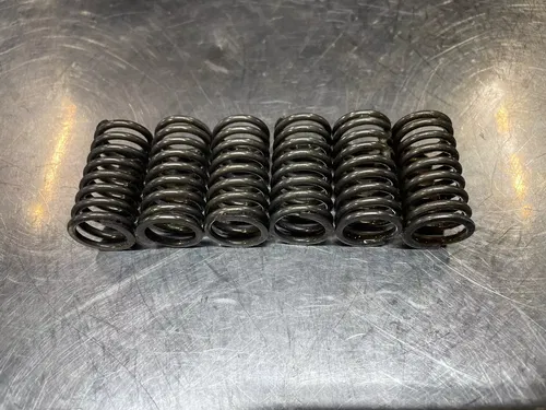1991 1992 1993 1994 Kawasaki KDX250 Clutch Springs and Bolts KDX 250