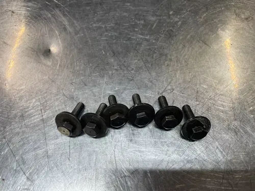 1991 1992 1993 1994 Kawasaki KDX250 Clutch Springs and Bolts KDX 250