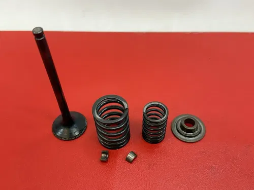 1984 Honda XL600R XL600 XL 600 600R Exhaust Valve Inner Outer Valve Spring