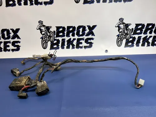 2004 Yamaha TTR125 TTR 125 TT-R125  Wiring Harness and CDI