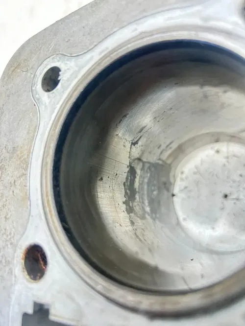 05 2005 Suzuki Quadsport LT-Z250 ltz 250 OEM Cyl Cylinder Piston Jug Barrel READ