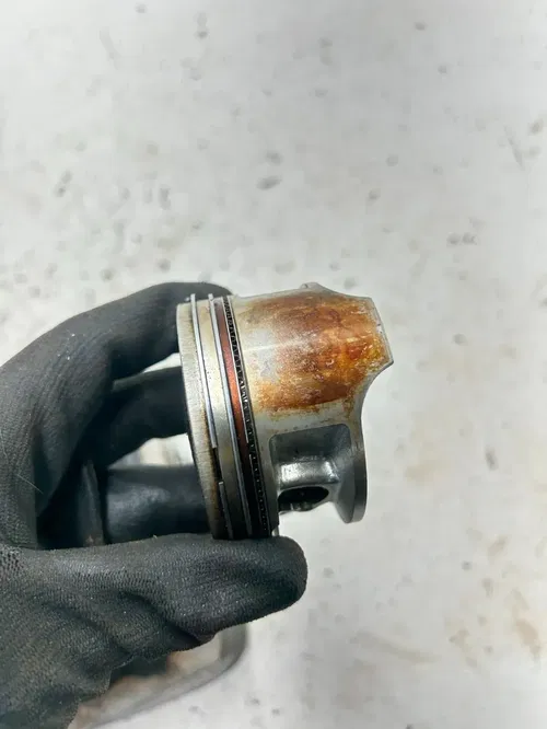 05 2005 Suzuki Quadsport LT-Z250 ltz 250 OEM Cyl Cylinder Piston Jug Barrel READ