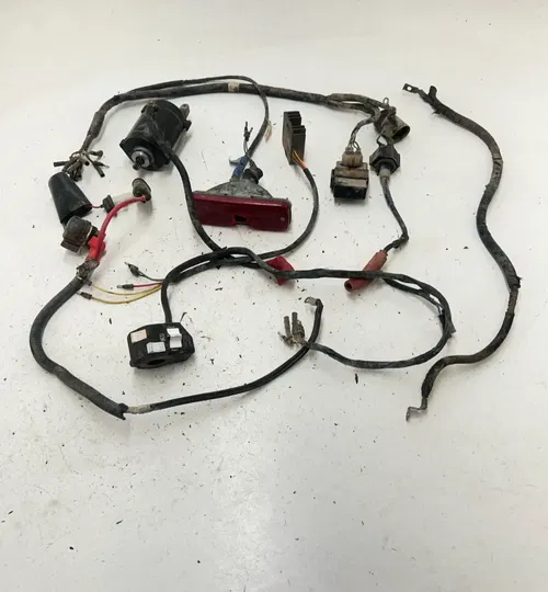 86 1986 Honda Fourtrax TRX200SX Trx 200 Sx OEM Wiring Harness Loom ECU CDI Coil