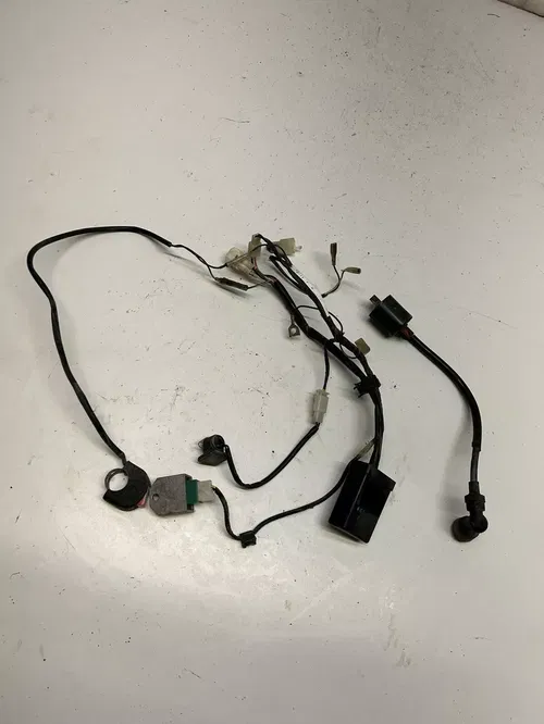 2001 01 Yamaha TTR90 ttr 90 LOT Wiring Harness Loom Ecu Cdi Coil GOOD! Free Ship