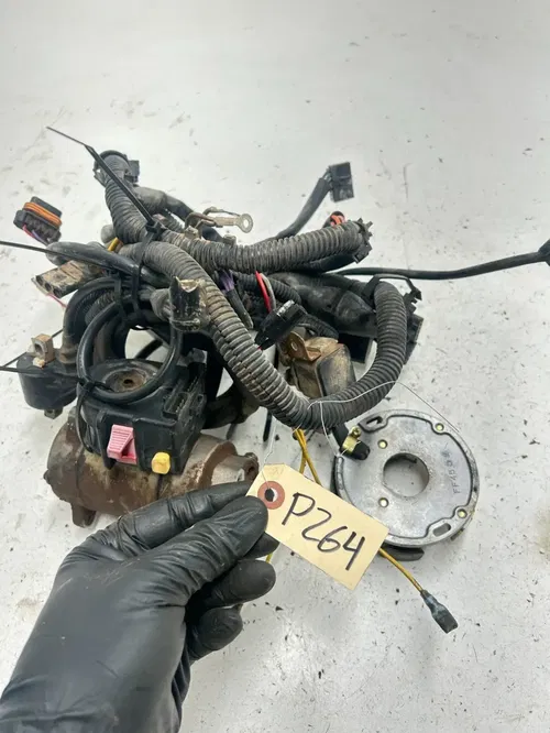 03 2003 Polaris Trailblazer 250 2x4 GOOD! OEM Wiring Harness ECU CDI Coil Stator