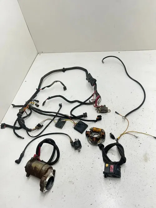 03 2003 Polaris Trailblazer 250 2x4 GOOD! OEM Wiring Harness ECU CDI Coil Stator