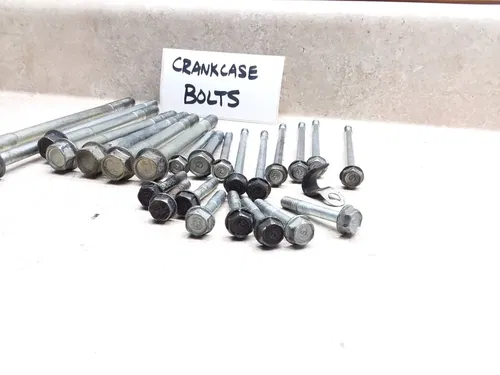 VTG 1978 Honda GL1000 Engine Crankcase Bolt Set Cylinder Block PA AP-300
