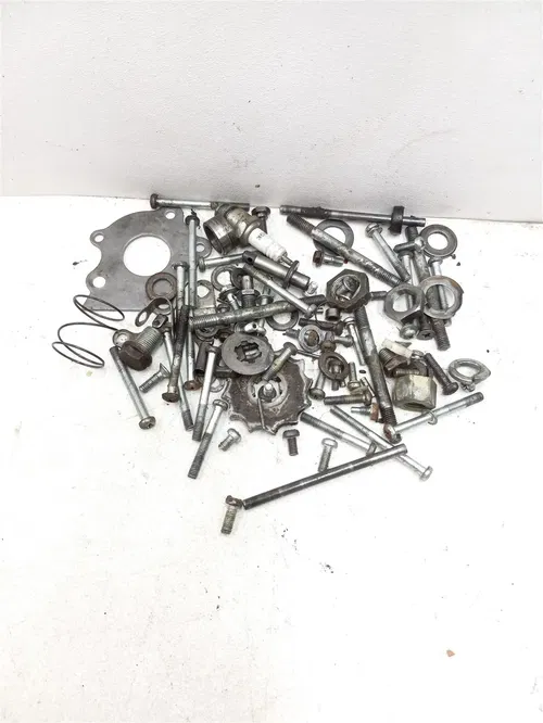 Suzuki 185 TS TS185 Engine Misc Case Bolts 1974 PA AP-132