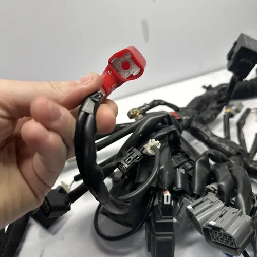 2024 24 Kawasaki Ninja 500 EX500 Main Engine Wiring Harness OEM