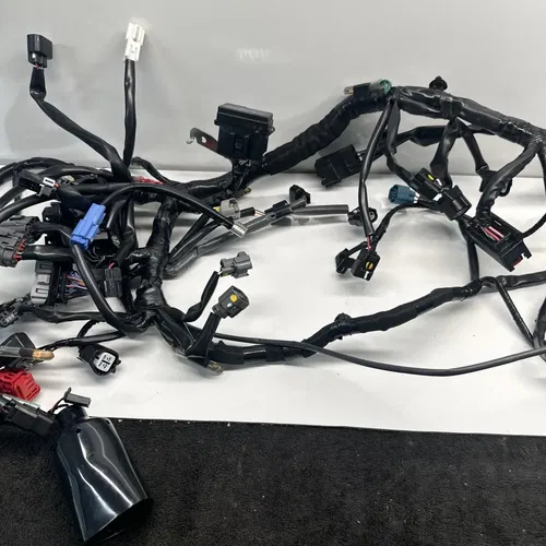 2024 24 Kawasaki Ninja 500 EX500 Main Engine Wiring Harness 308200 NICE OEM