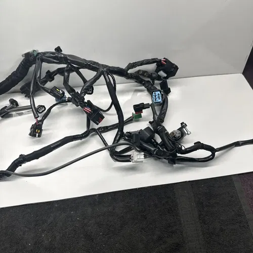 2024 24 Kawasaki Ninja 500 EX500 Main Engine Wiring Harness 308200 NICE OEM