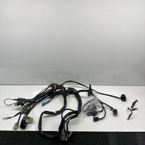 2023 GasGas EX350F Wire Harness With Nihilo Secondary Switch COMPLETE WIRING