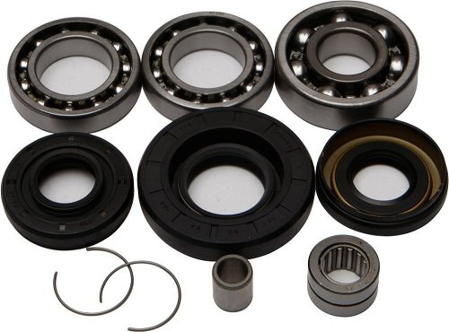 All Balls Front Differential Bearing And Seal Kit 25-2003