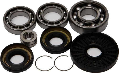 All Balls Front Differential Bearing And Seal Kit 25-2016