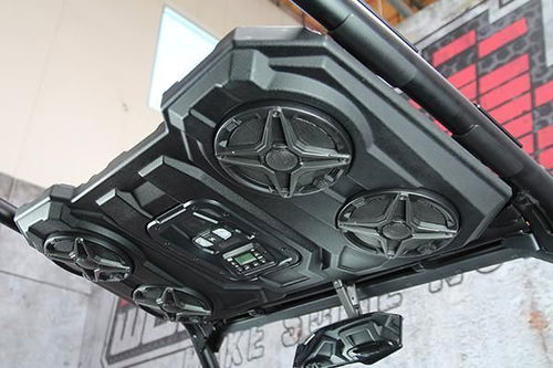 SSV Works Bluetooth Overhead Sound System 200-WP3-RZ3O65