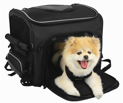 Nelson Rigg Rover Pet Carrier Black
