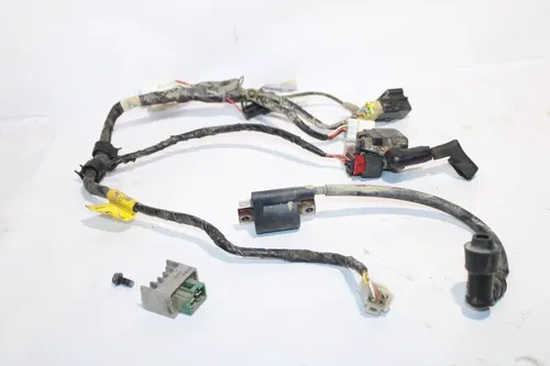 2011-2024 Yamaha Ttr125le OEM Wiring Harness Ignition Coil And Rectifier
