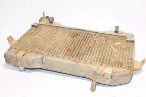 2006-2009 Suzuki Quadracer 450 Ltr450 OEM Radiator Clean! 17710-45G00